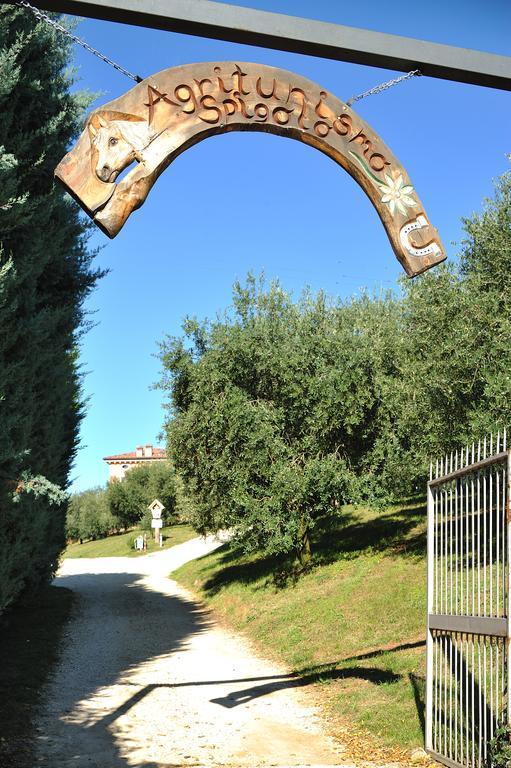 Agriturismo Spigolo Avesa Luaran gambar