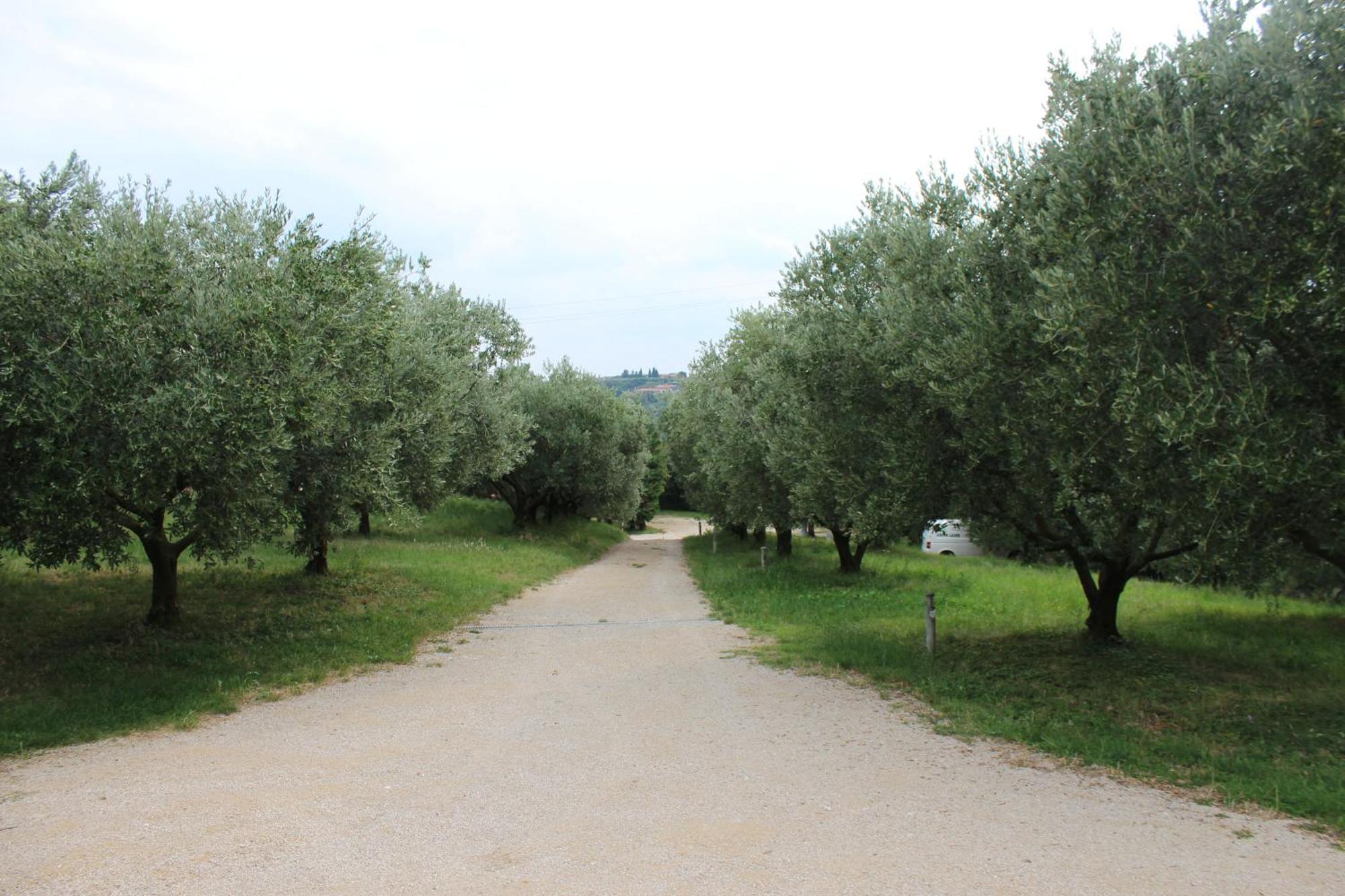 Agriturismo Spigolo Avesa Luaran gambar