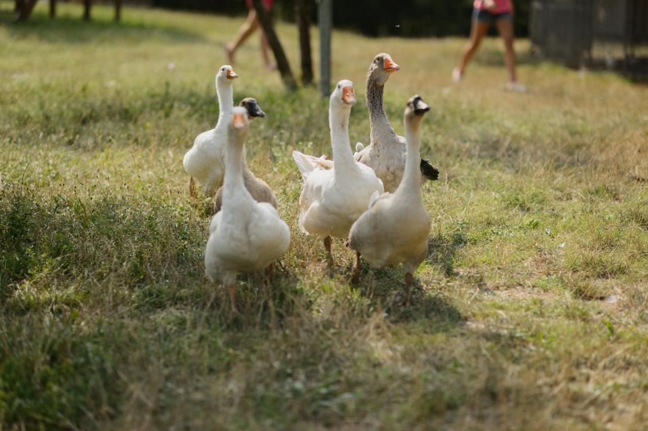 Agriturismo Spigolo Avesa Luaran gambar